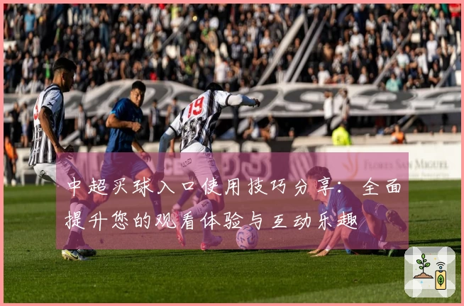 中超买球入口使用技巧分享：全面提升您的观看体验与互动乐趣