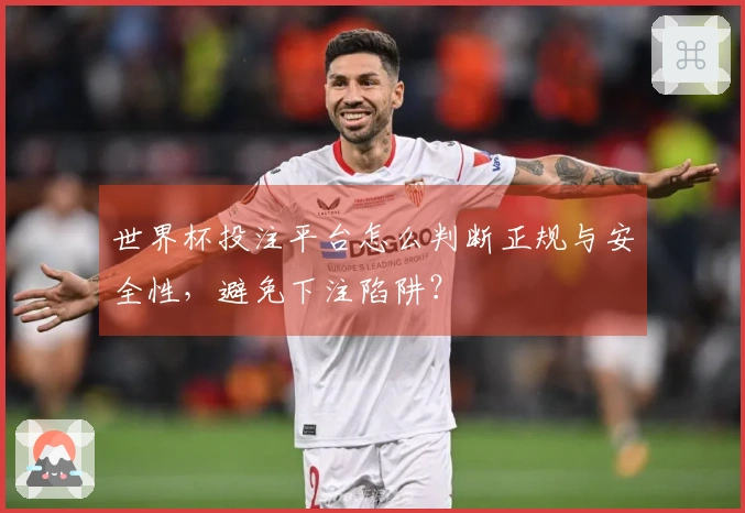 世界杯投注平台怎么判断正规与安全性，避免下注陷阱？