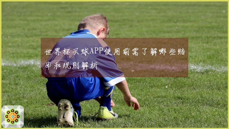 世界杯买球APP使用前需了解哪些赔率和规则解析