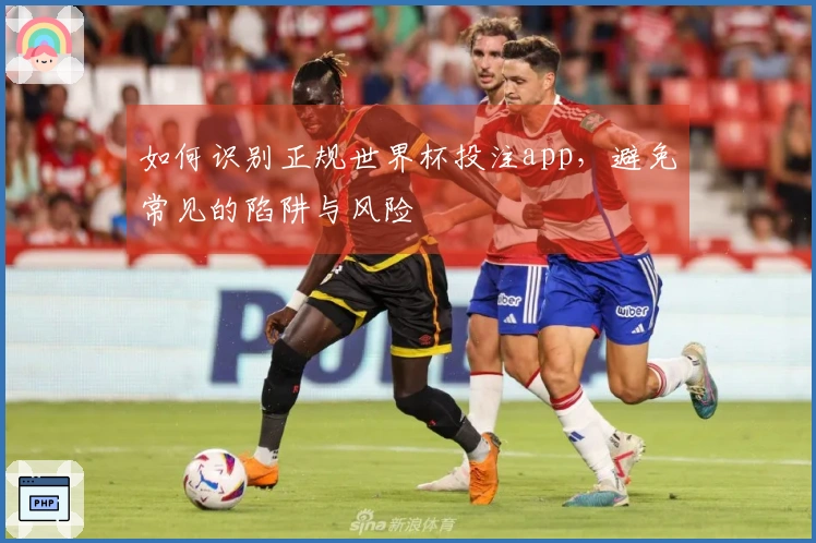 如何识别正规世界杯投注app，避免常见的陷阱与风险