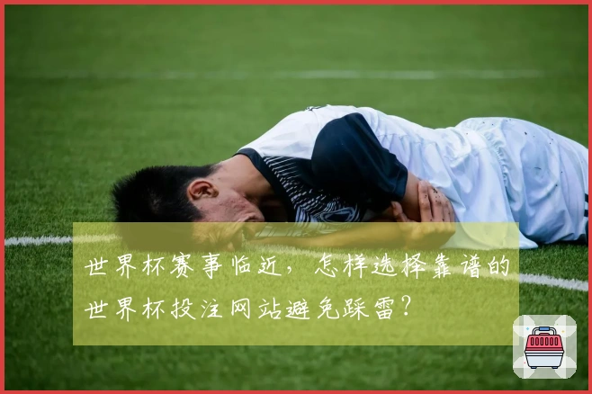 世界杯赛事临近,怎样选择靠谱的世界杯投注网站避免踩雷?