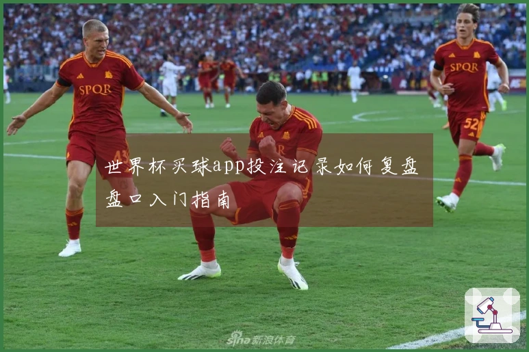世界杯买球app投注记录如何复盘 盘口入门指南