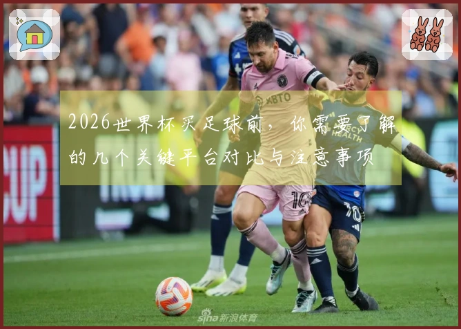 2026世界杯买足球前，你需要了解的几个关键平台对比与注意事项