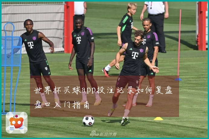 世界杯买球app投注记录如何复盘 盘口入门指南